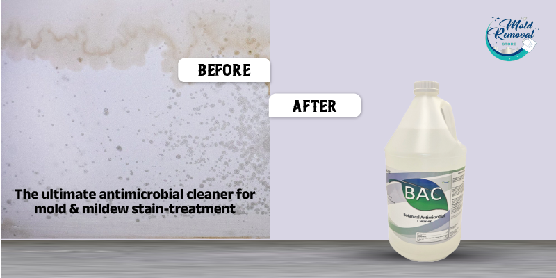 Antimicrobial Cleaner for Mold & Mildew Stain