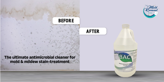 Antimicrobial Cleaner for Mold & Mildew Stain